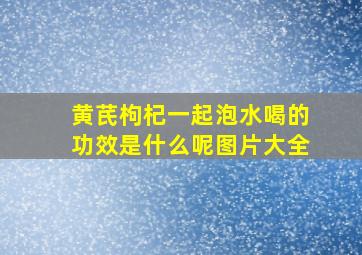 黄芪枸杞一起泡水喝的功效是什么呢图片大全