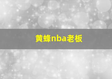 黄蜂nba老板