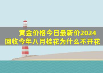 黄金价格今日最新价2024回收今年八月桂花为什么不开花