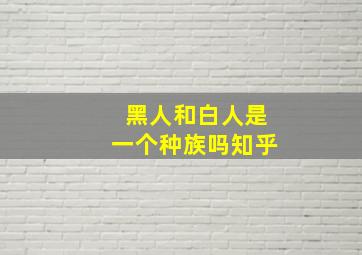 黑人和白人是一个种族吗知乎