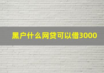 黑户什么网贷可以借3000