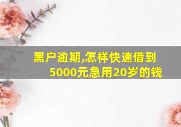 黑户逾期,怎样快速借到5000元急用20岁的钱