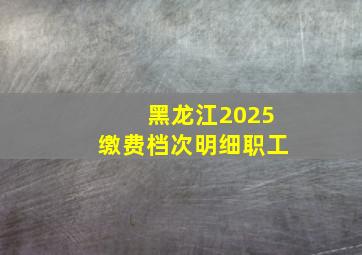 黑龙江2025缴费档次明细职工