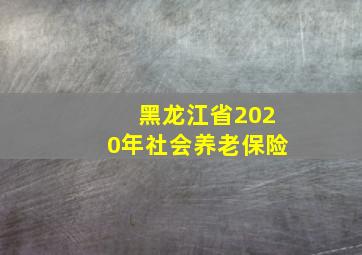 黑龙江省2020年社会养老保险