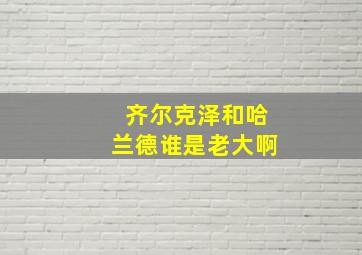 齐尔克泽和哈兰德谁是老大啊