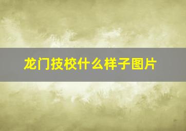 龙门技校什么样子图片